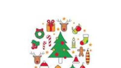 What did you think about Greater Shepparton’s Christmas decorations?