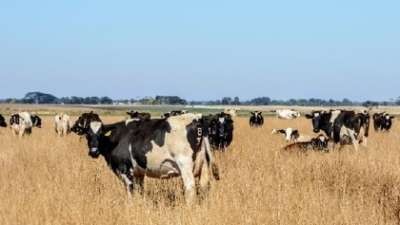 Farm resilience workshop