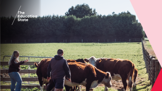 Consultation on work-based learning