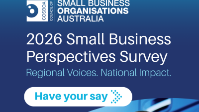 Small Business Perspectives Survey