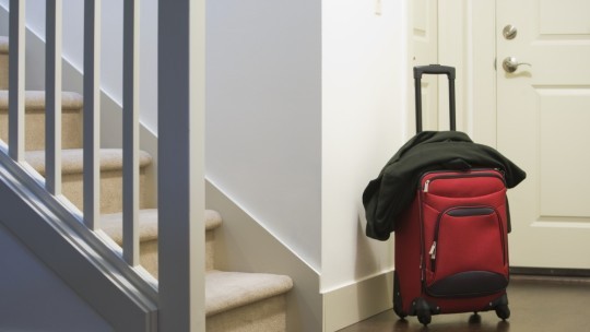 Bushfire impact and recovery: Business 