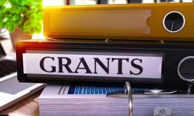 Winning Government Grants and Tenders - Live Webinar