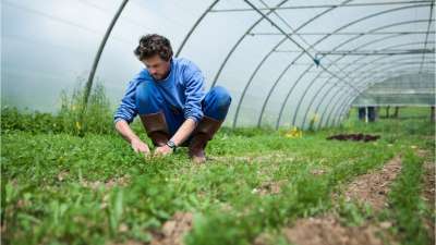 Bushfire Planning - Farms & Farming Businesses