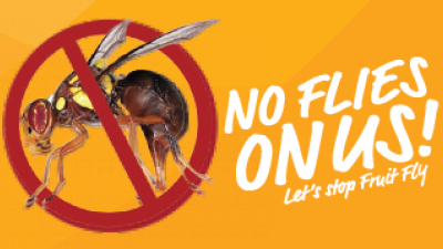 GMV Regional Fruit Fly Program