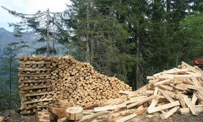 Timber Supply Chain Resilience Package